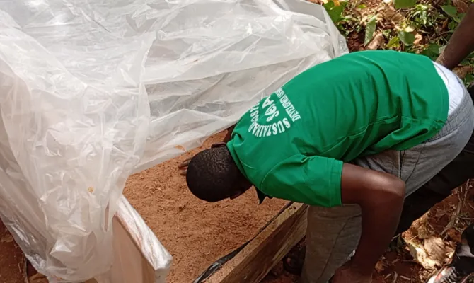 Biosecure Greenhouse Nurseries and Dryers for Crop Pest Management and food Productivity in Cameroon