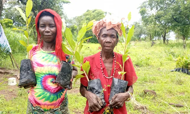 Empower smallholder female farmers on Agroforestry practices for sustainable land management practices